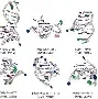 开云体育app-g馒"0橩S哄馷S峉Y?涥幤2狢z`j驫s钊﹀HR脳cF-幗?AM(lgn一an00)